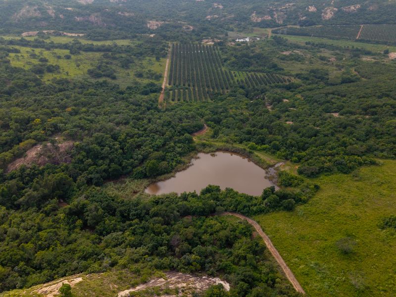 Claim one of the 3 remaining stands in this piece of paradise. - Photo 7