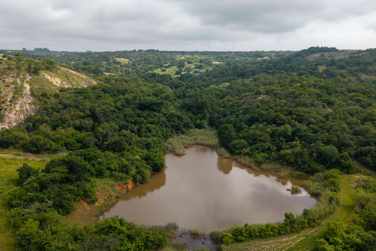 An aerial view of a vacant residential plot featuring a natural pond surrounded by lush indigenous vegetation and rolling hilly terrain.