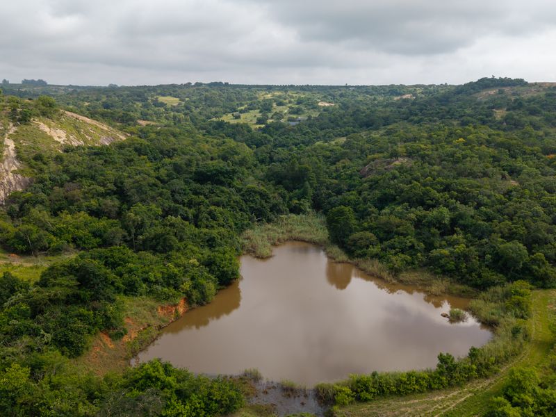 Claim one of the 3 remaining stands in this piece of paradise. - Photo 8