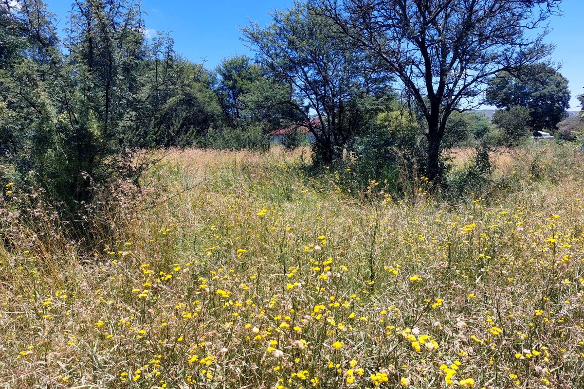 Swartruggens Vacant Land - Photo 5