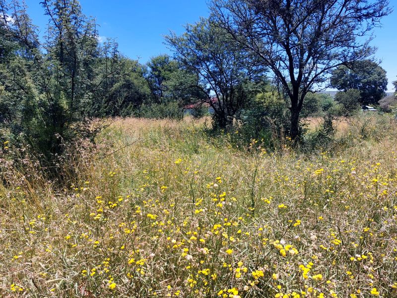 Swartruggens Vacant Land - Photo 5