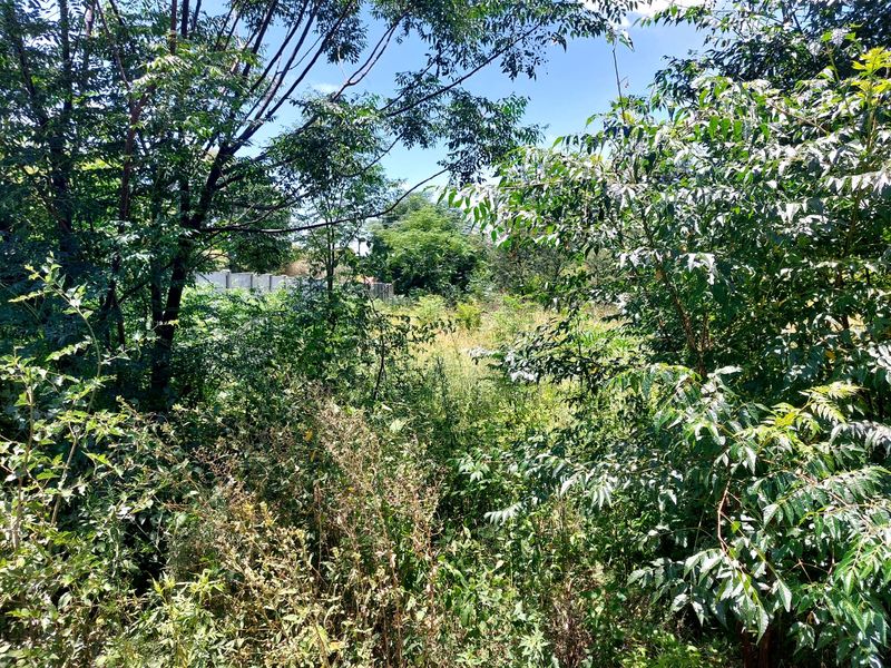 Swartruggens Vacant Land - Photo 8