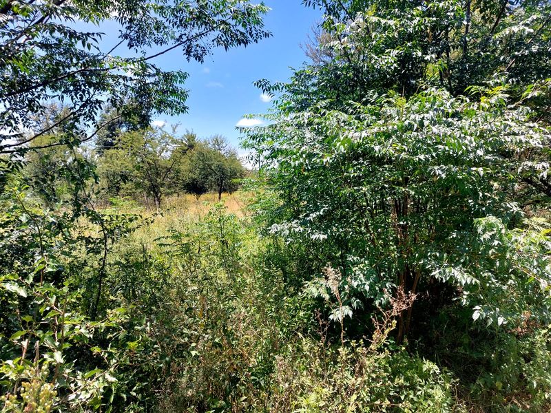 Swartruggens Vacant Land - Photo 7