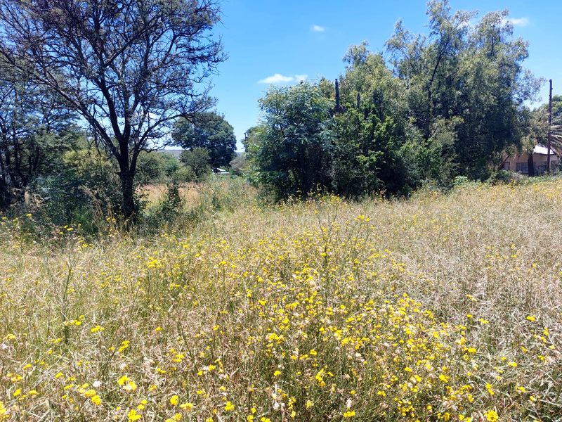 Swartruggens Vacant Land - Photo 6