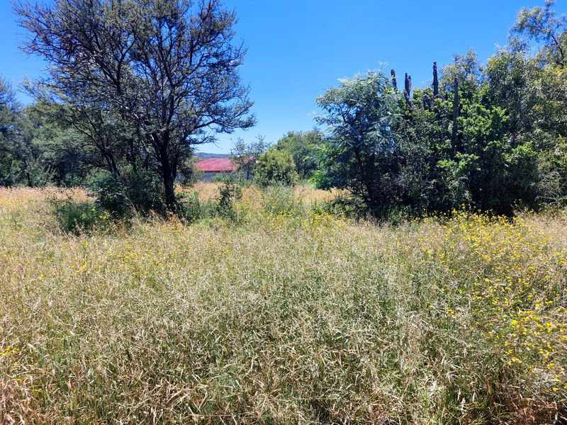 Swartruggens Vacant Land - Photo 2