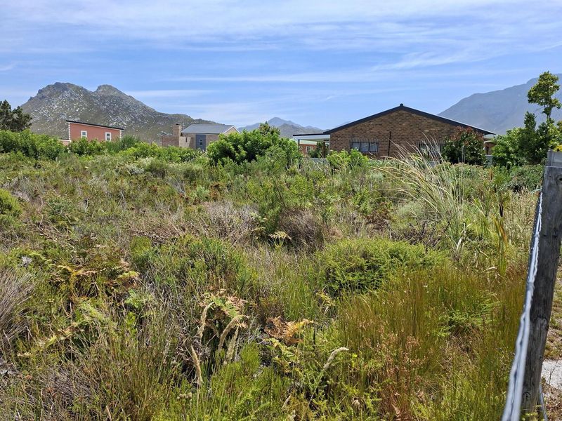 Vacant Land for Sale in Pringle Bay | Large Stand in Quiet Cul-de-Sac with Stunning Mountain Views - Photo 10