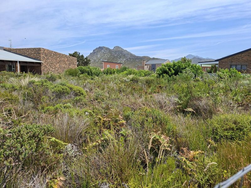 Vacant Land for Sale in Pringle Bay | Large Stand in Quiet Cul-de-Sac with Stunning Mountain Views - Photo 6