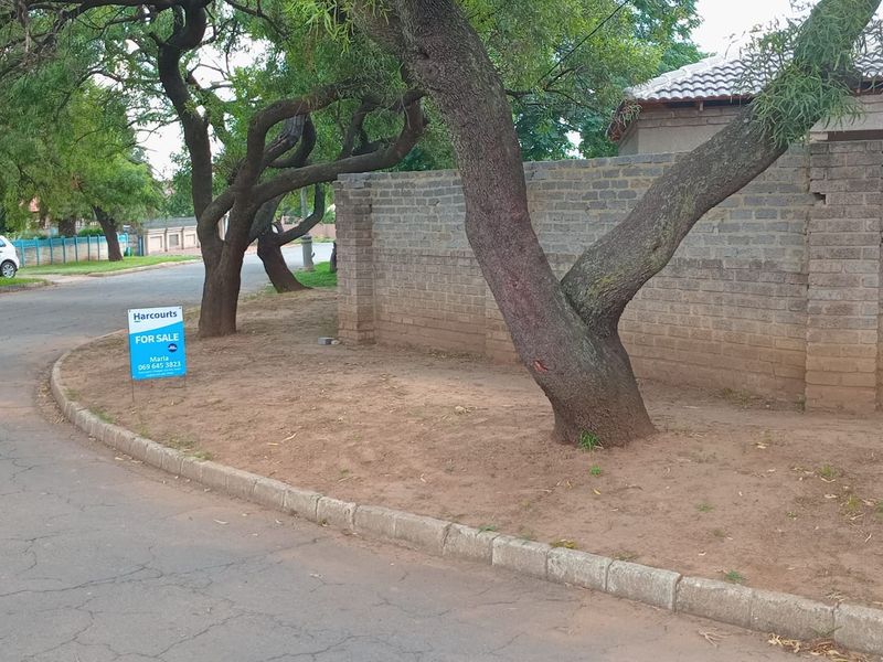 Street view showing the property boundary wall, mature trees, and unlandscaped verge area.