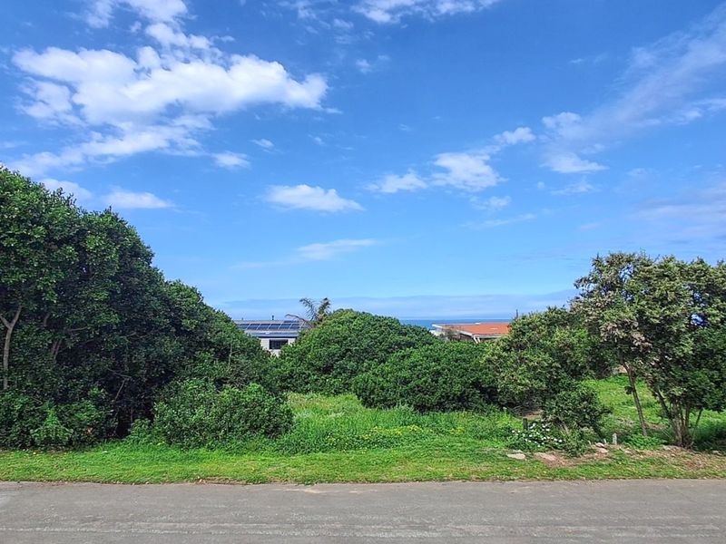 A view of a vacant residential plot featuring mature trees and vegetation, situated along an asphalt road with a distant ocean view.