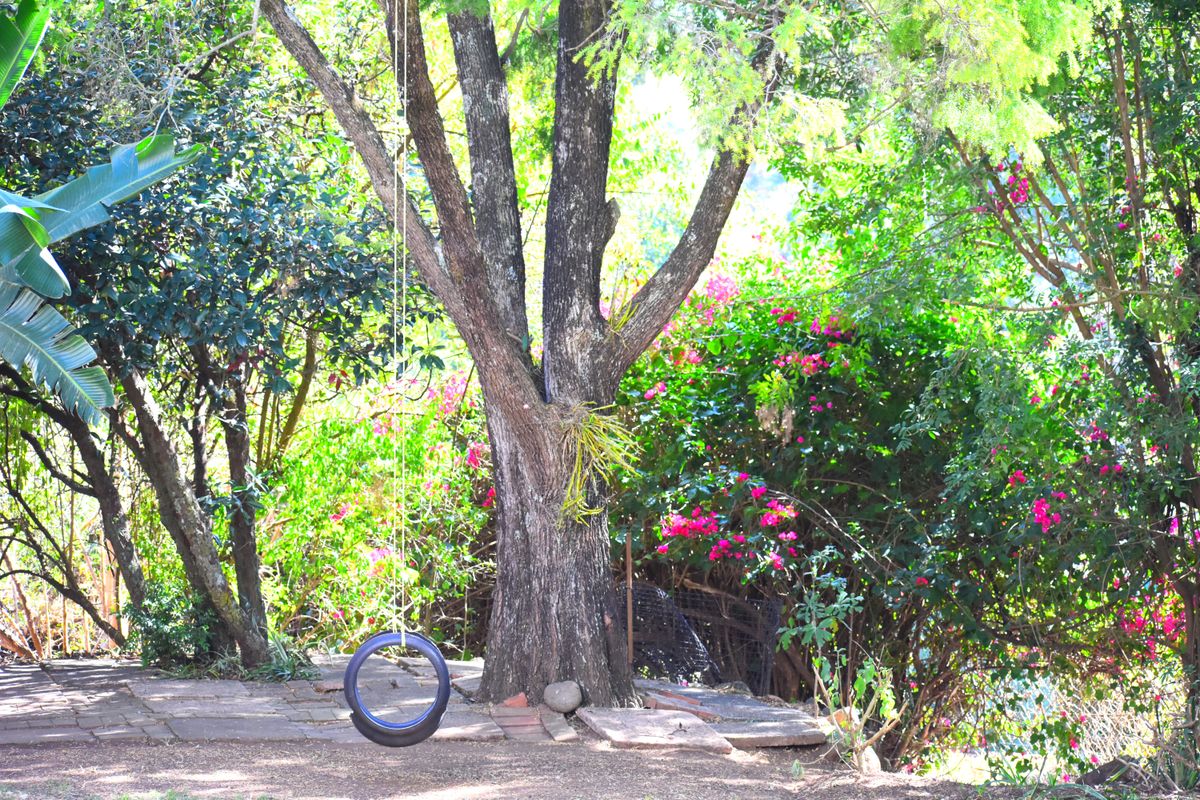 Tranquil Athlone Complex with End Unit Position - Photo 4