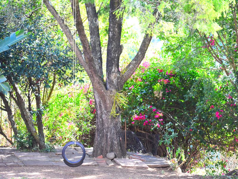 Tranquil Athlone Complex with End Unit Position - Photo 4