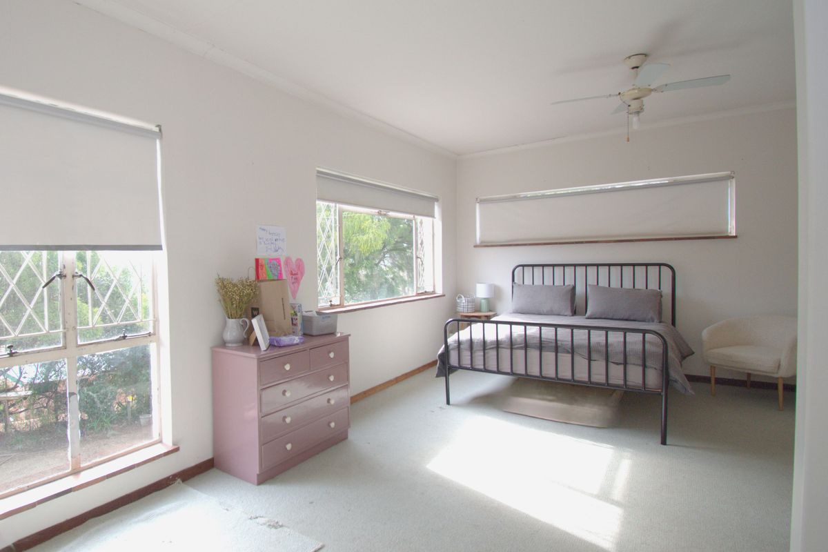 Spacious bedroom featuring neutral walls, carpet flooring, ceiling fan, and large windows with security bars and roller blinds.