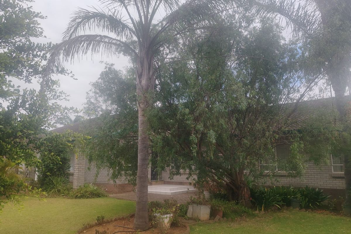 7 Bedroom Property in Despatch Central – Bussines  Opportunity!! - Photo 4