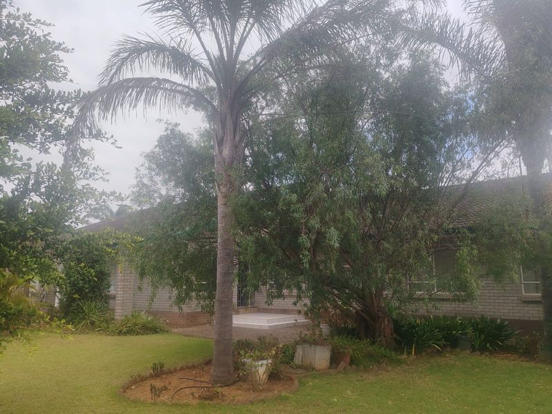 7 Bedroom Property in Despatch Central – Bussines  Opportunity!! - Photo 4