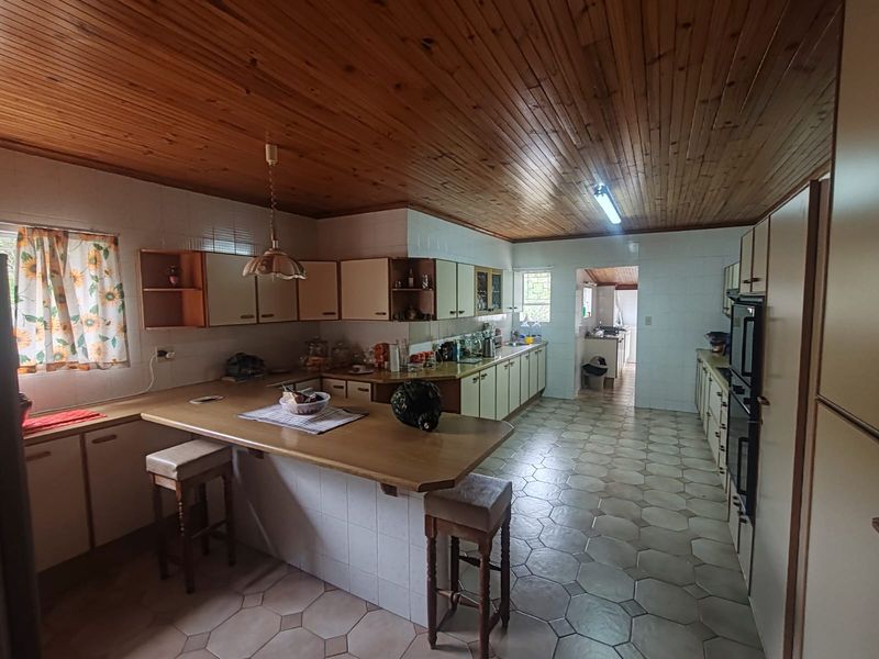 7 Bedroom Property in Despatch Central – Bussines  Opportunity!! - Photo 9