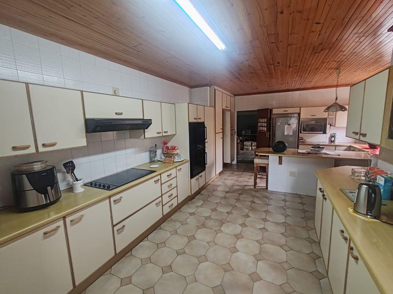 7 Bedroom Property in Despatch Central – Bussines  Opportunity!! - Photo 8