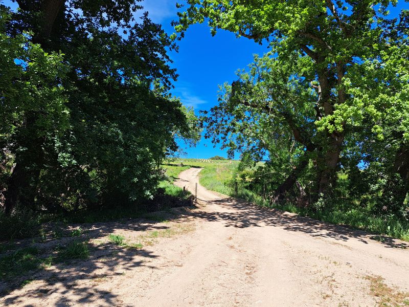 A LUCRATIVE PROSPECT - Photo 6