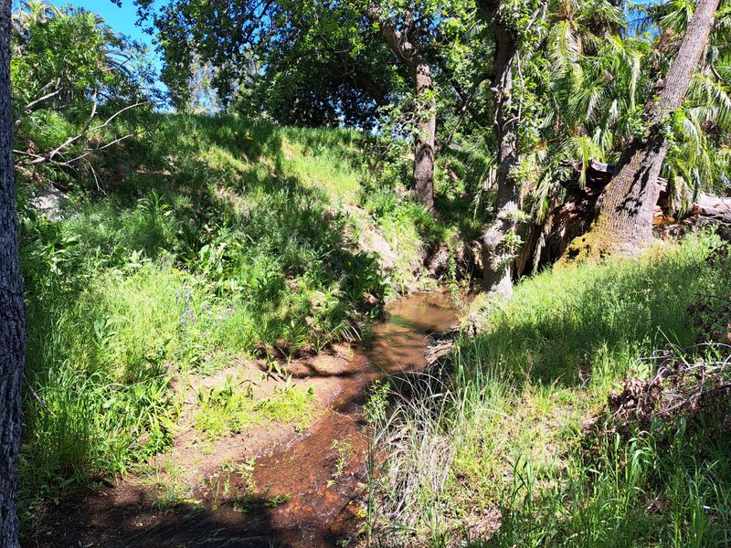 A LUCRATIVE PROSPECT - Photo 7