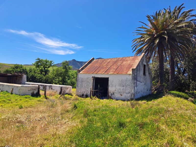 A LUCRATIVE PROSPECT - Photo 4