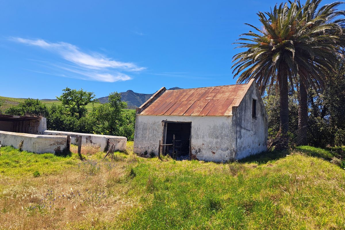 A LUCRATIVE PROSPECT - Photo 4