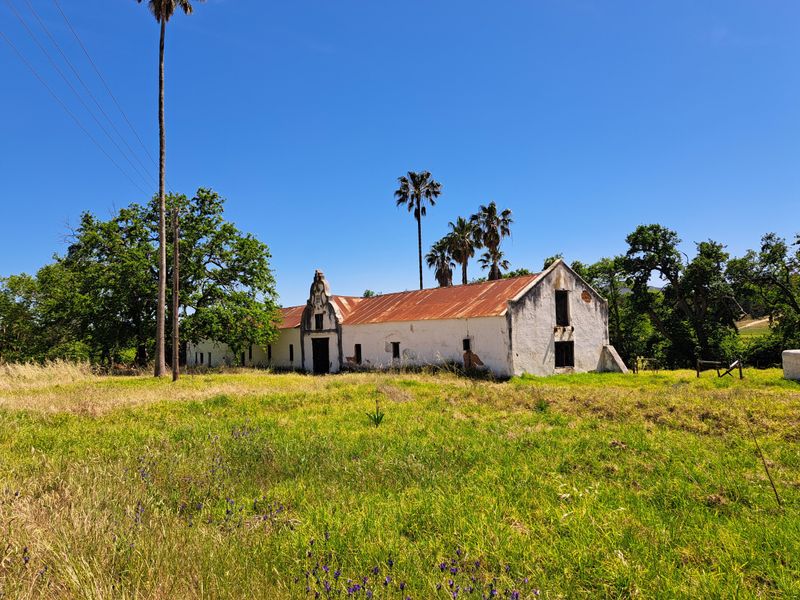 A LUCRATIVE PROSPECT - Photo 2