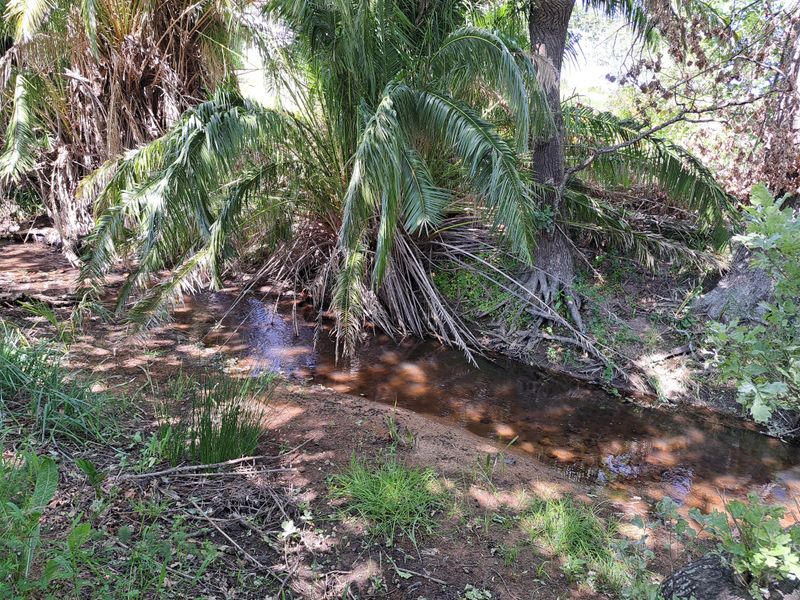 A LUCRATIVE PROSPECT - Photo 5