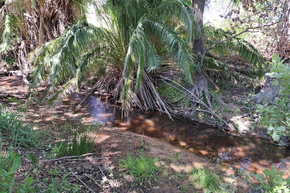 A LUCRATIVE PROSPECT - Photo 5