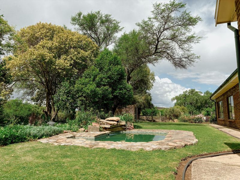 A backyard garden featuring a stone-clad swimming pool, lush green lawn, and mature trees adjacent to the house exterior.