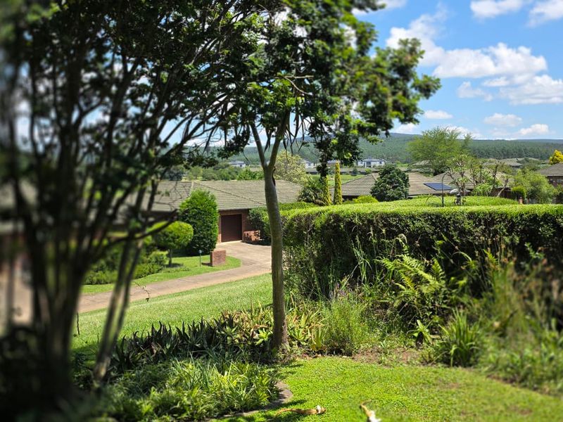 Position! Position! Position! - Photo 3