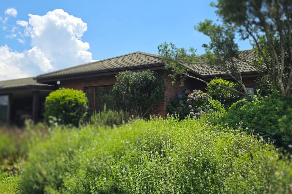 Position! Position! Position! - Photo 2