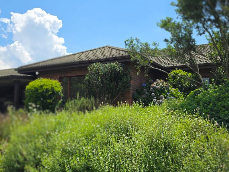 Position! Position! Position! - Photo 2