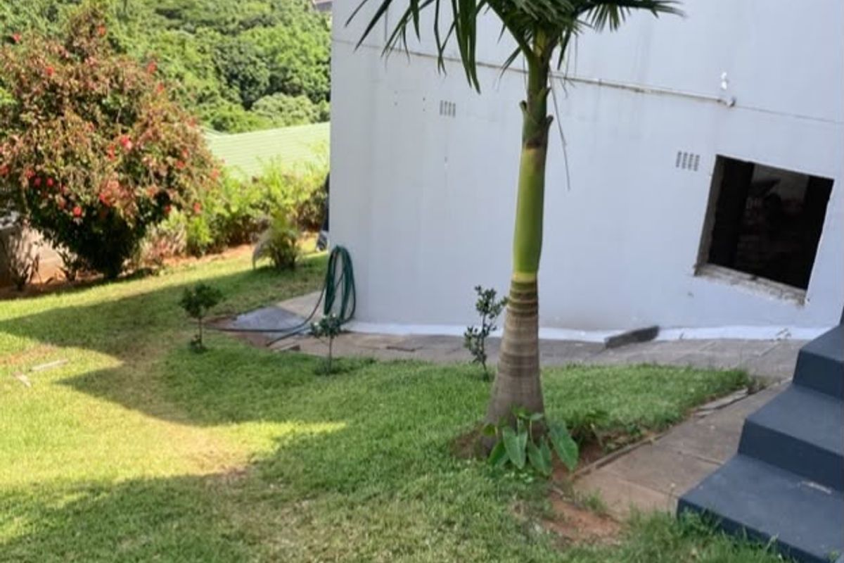 Rear exterior view of the property featuring a sloped lawn, concrete stairs, and an unfinished window opening on the side wall.