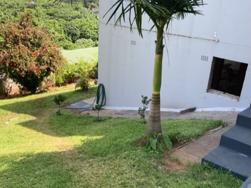 Rear exterior view of the property featuring a sloped lawn, concrete stairs, and an unfinished window opening on the side wall.