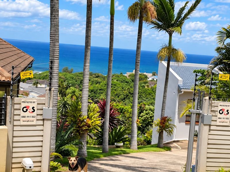 A view of the property entrance featuring a concrete driveway, security gates with electric fencing, and mature palm trees overlooking the ocean.