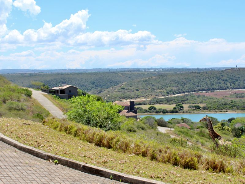 Stunning Plot For Sale in Riverview Waterfront Estate, Port Alfred - Photo 3