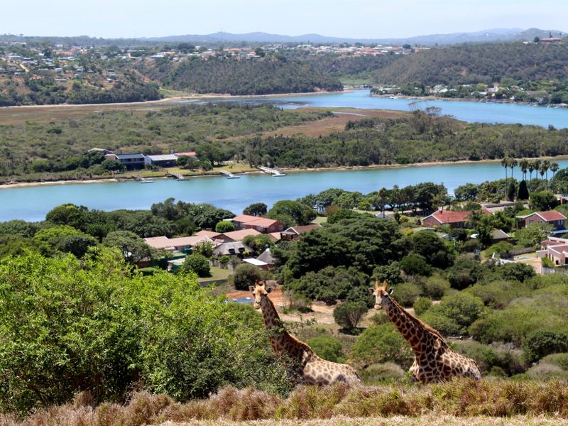 Stunning Plot For Sale in Riverview Waterfront Estate, Port Alfred - Photo 6