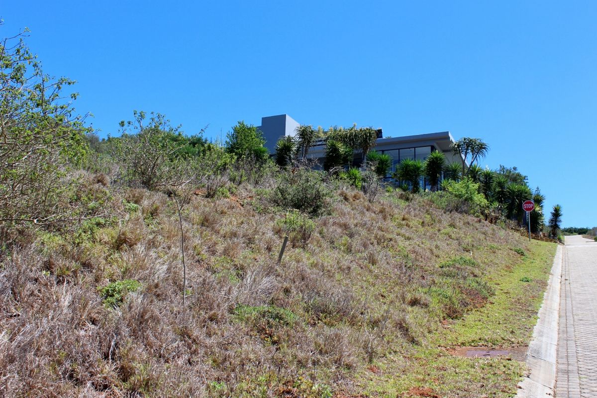 Stunning Plot For Sale in Riverview Waterfront Estate, Port Alfred - Photo 4