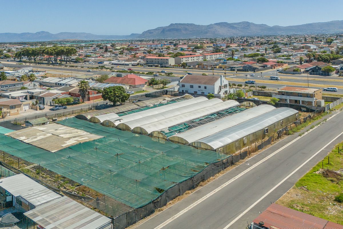 Prime 4 936m2 Development Opportunity in Sought-After Schaapkraal - Photo 5