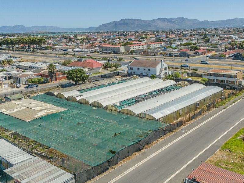 Prime 4 936m2 Development Opportunity in Sought-After Schaapkraal - Photo 5