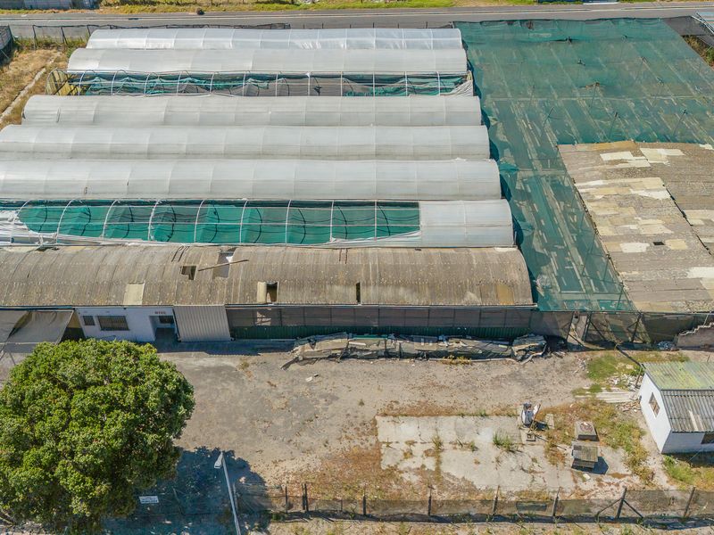 Prime 4 936m2 Development Opportunity in Sought-After Schaapkraal - Photo 8