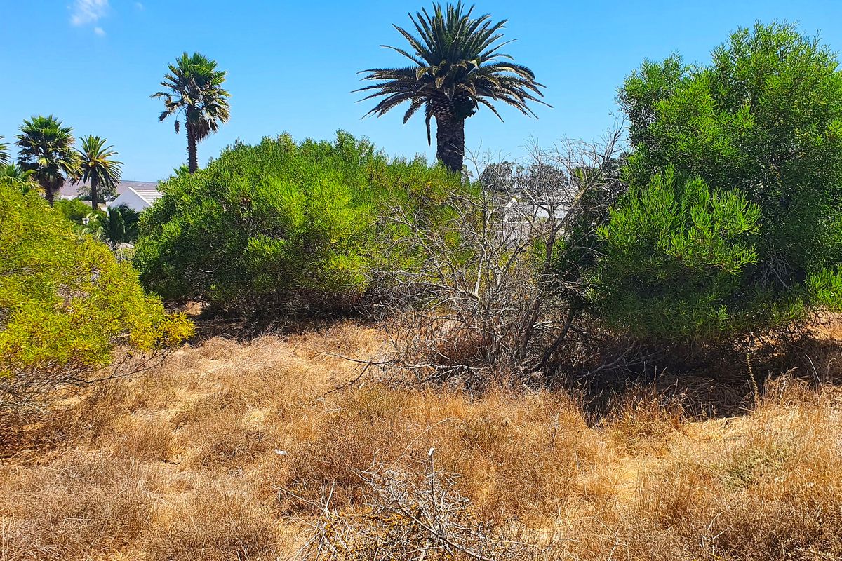 Build your dream home – Shelley Point Golf Estate - Photo 5