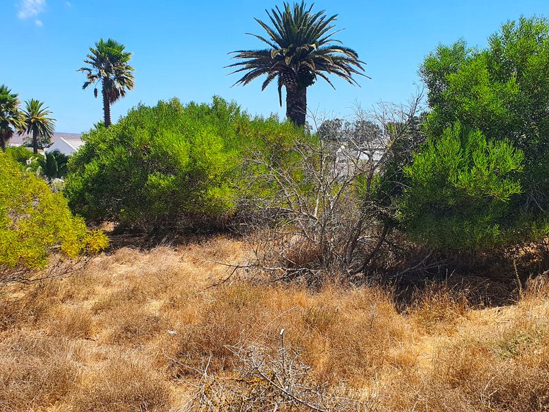 Build your dream home – Shelley Point Golf Estate - Photo 5