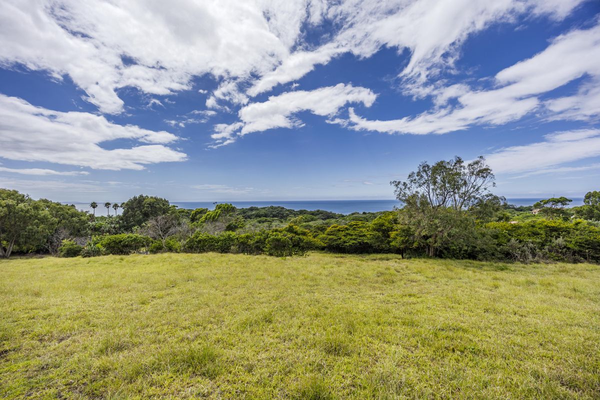 secluded living - Photo 4