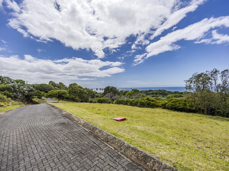 A scenic view of the vacant residential land featuring a paved access road, established greenery, and distant ocean views.