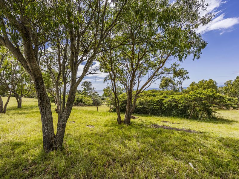 A scenic view of a vacant residential plot featuring mature trees and natural grassland, offering a peaceful and private setting.