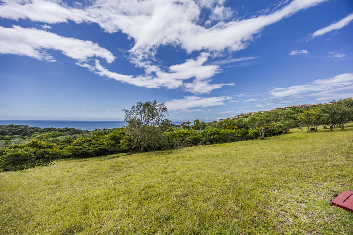 A scenic view of the coastal landscape and surrounding greenery from the vacant residential land.