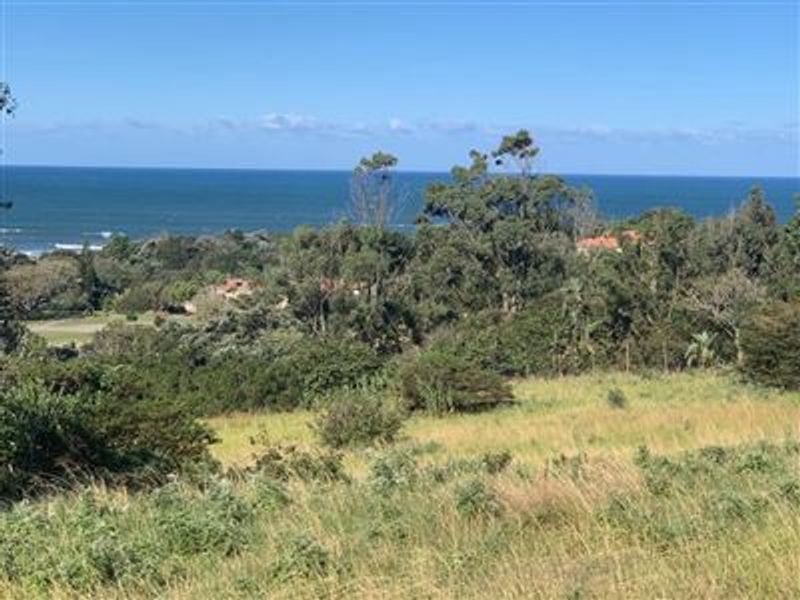 A scenic view overlooking the coastal landscape and ocean from the vacant residential property.
