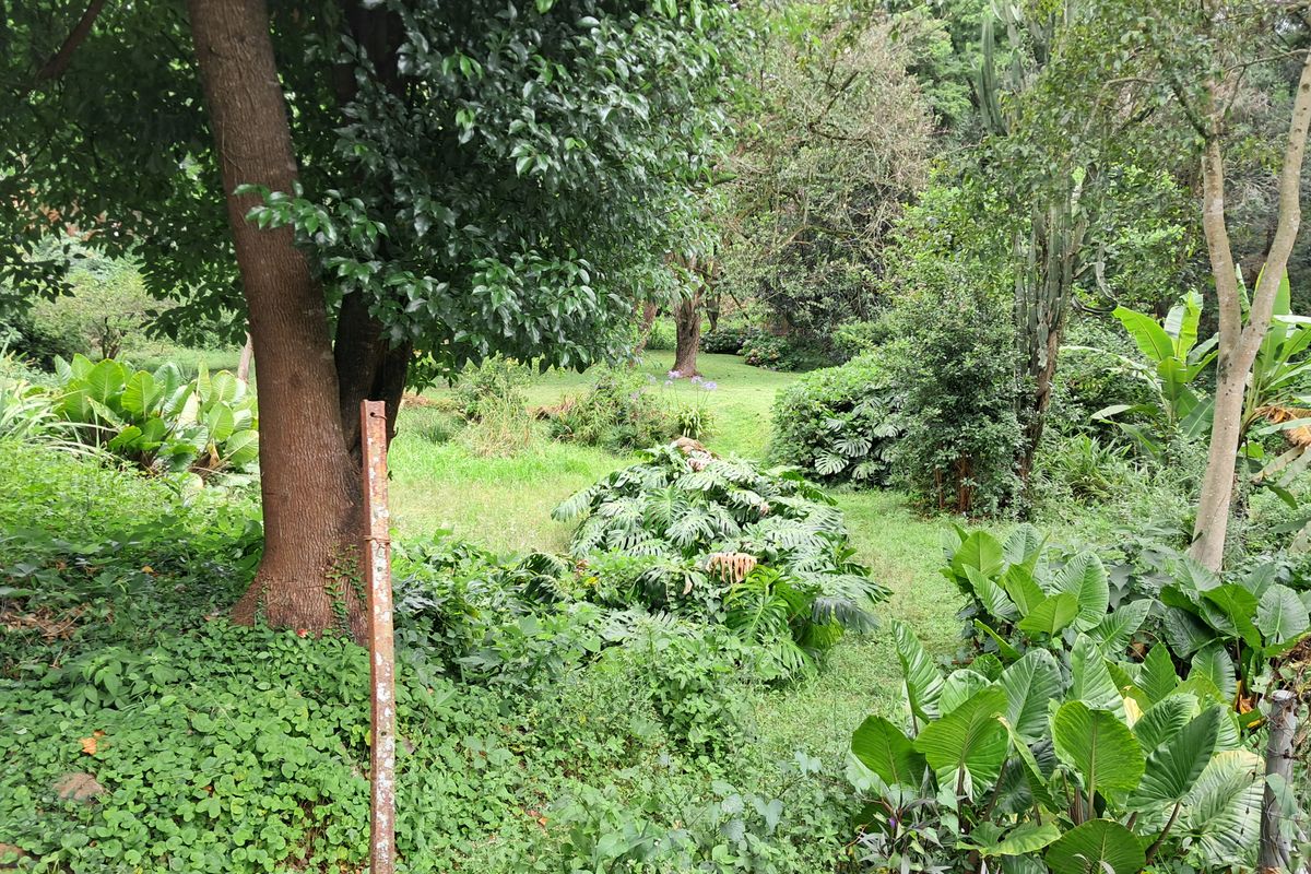 Neat and Spacious One-Bedroom Simplex - Photo 3