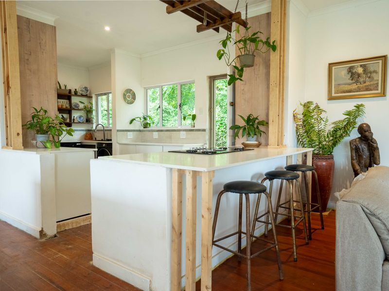 Newly Renovated Home with Sunroom, Pool & Breath taking Valley Views - Photo 8