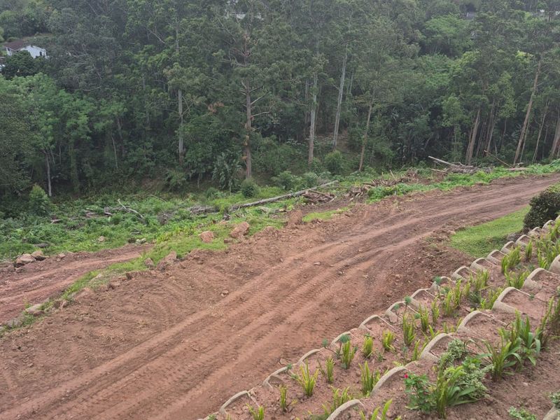 Calling all developers and buyers with vision. 8992m development Opportunity! - Photo 9